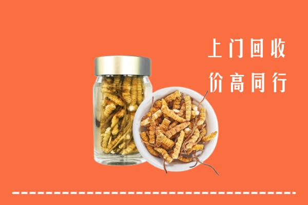 收购行情：怀化回收冬虫夏草