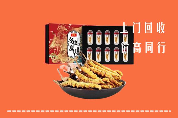 收购行情：怀化回收虫草